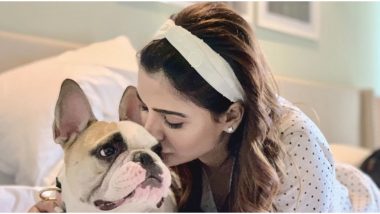 Samantha Akkineni's Pet Dog Hash Turns Into Her Co-Star! Check Adorable Posts