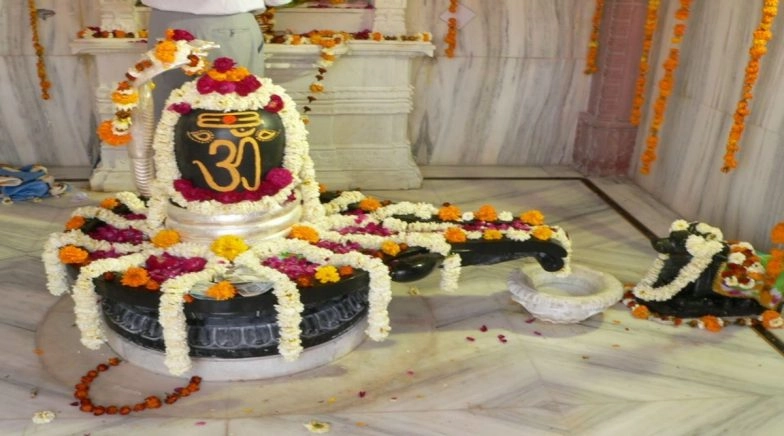 Hariyali Teej 2020 Dos and Don'ts: 10 Fasting and Shiv-Parvati Puja Rules That You MUST Follow