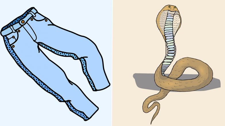 Cobra Snake Enters Sleeping Man's Pants in Mirzapur, Forced to Stand Up For 7 Hours For Safety (Watch Rescue Video)