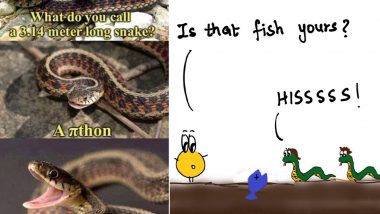 On World Snake Day 2020, These Silly Snake Puns and Riddles Will Make You Laugh 'Hisssterically'
