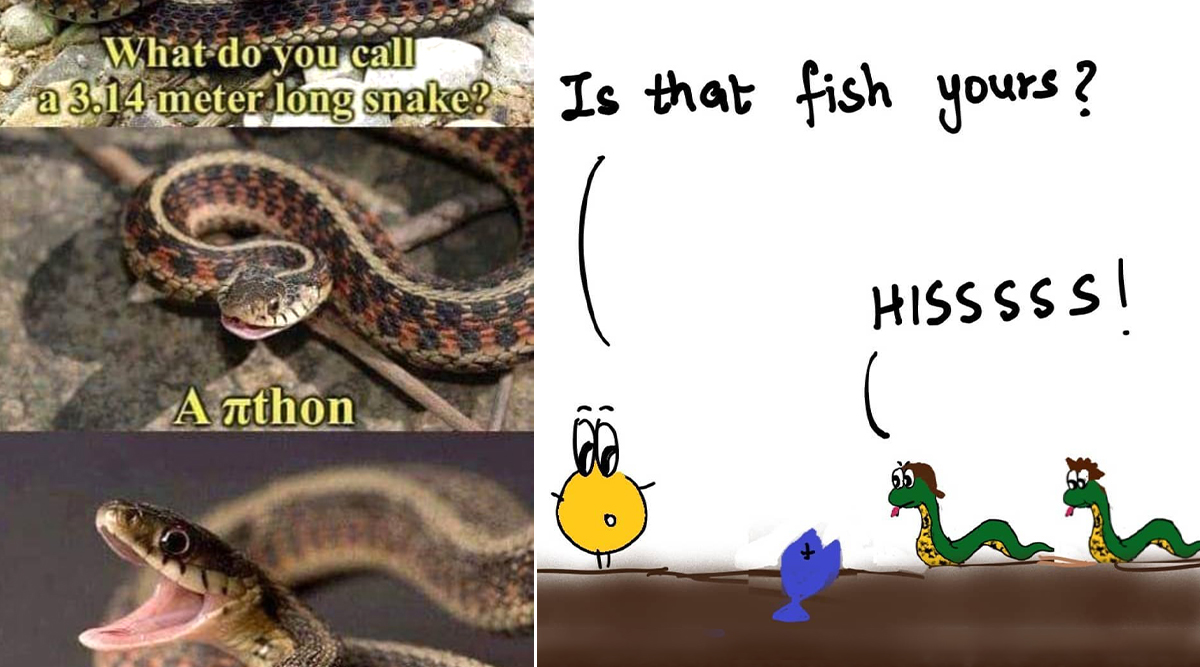 On World Snake Day 2020, These Silly Snake Puns and Riddles Will Make You  Laugh 'Hisssterically' | 👍 LatestLY