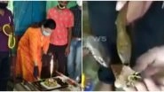 World Snake Day 2020 Celebrations in Jamshedpur See Rescuers Feeding Cake to Serpents, Twitterati's Enraged; Know Why It's Wrong