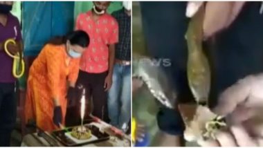 World Snake Day 2020 Celebrations in Jamshedpur See Rescuers Feeding Cake to Serpents, Twitterati's Enraged; Know Why It's Wrong