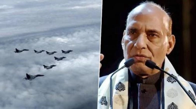 Defence Minister Rajnath Singh Says 'Birds Have Landed Safely in Ambala'