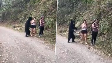 Chilling Moment of Wild Black Bear Posing for Selfie With Girl at Mexico’s Chipinque Ecological Park Goes Viral, Netizens Shocked