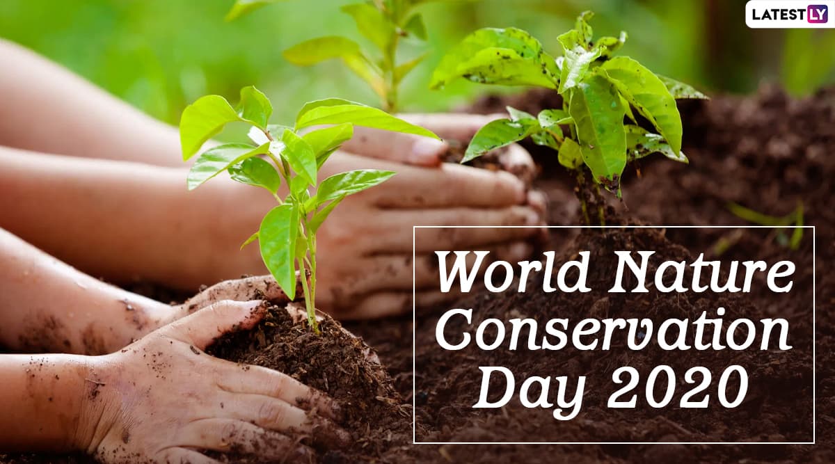 World Conservation Day 2020: 5 ways to conserve natural resources