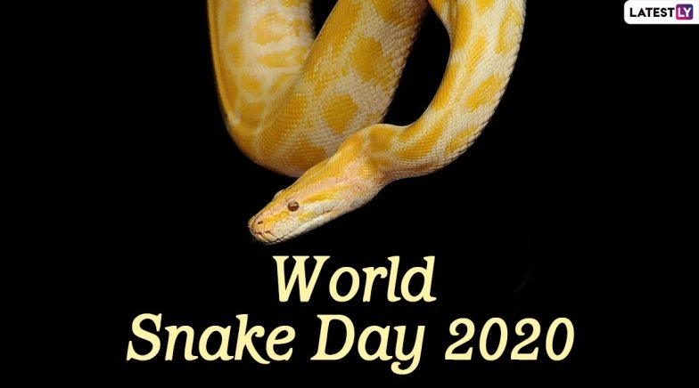 World Snake Day 2020: Know Interesting Facts About The Carnivorous Reptiles