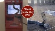 World Snake Day 2020: From Serpent Crawling on ATM Machine to King Cobra Drinking Water From Bottle, Watch Viral Videos of Snakes That Ssscared The Netizens
