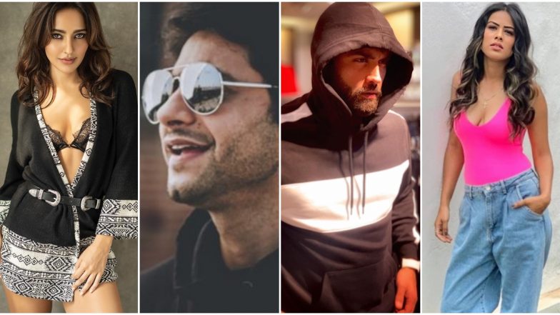 Bigg Boss 14: Neha Sharma, Jasmin Bhasin, Mishal Rajeha, Vivian Dsena, Nia Sharma Here Is The Speculated BB14 Contestant List