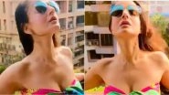 Ameesha Patel Shares Her Super Sexy Avatar on Instagram, Says &lsquo;How I Wish I Was Hot&rsquo; (Watch Video)