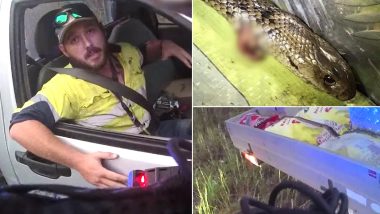 Man Vs Snake! Australian Man Fights Off World's Deadliest Eastern Brown Snake With Knife While Driving a Truck