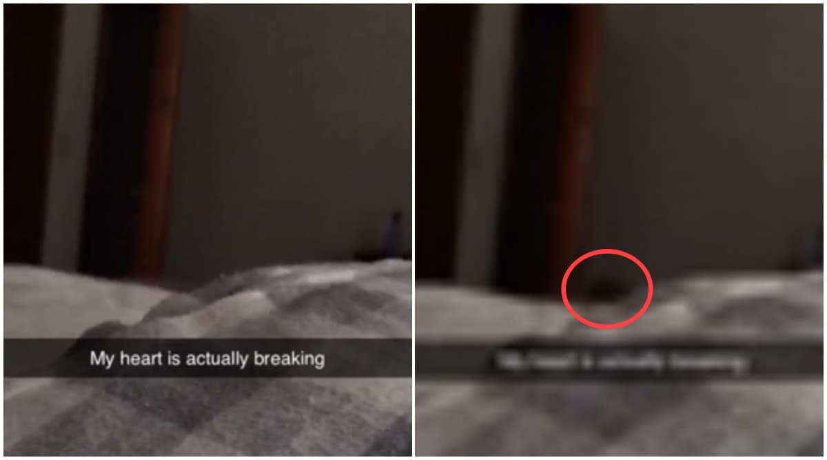 Pregnant Woman Spots Mysterious Black Shadow in Her Room While Filming Her Baby Bump! 