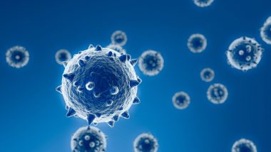 New Coronavirus Strain in Maharashtra: No Foreign COVID-19 Strains in Amravati, Yavatmal, Akola, Says State Health Department