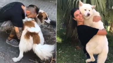 Beirut Explosion: Lebanese Volunteers Search and Reunite Lost Pets With Their Owners Following the Deadly Blast, Videos of Reunion Will Melt Your Heart