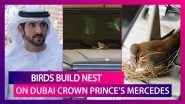 Dubai Crown Prince Stops Using His Mercedes, Cordons It Off After Birds Build Nest On It