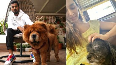 International Dog Day 2020: Shraddha Kapoor, Diana Penty, KL Rahul, Rohit Sharma and Other Dog Lovers Flood Twitter Timeline With Paw-Fect Photos and Videos of Their Furry Friends!