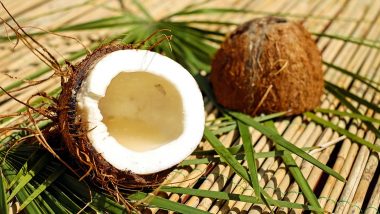 World Coconut Day 2020: Is Coconut, a Fruit, Nut or Seed? Here Are Some Interesting Facts You May Not Have Known About Coconuts
