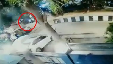 Delhi Woman Rams Her BMW Into Ice-Cream Stall, Blames Her Pet Dog (Watch Video)