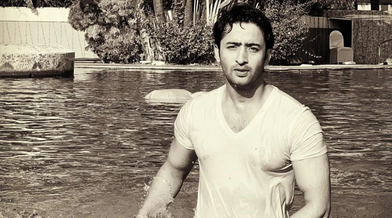 Shaheer Sheikh Opens Up on Resuming Work Amid Great Risk