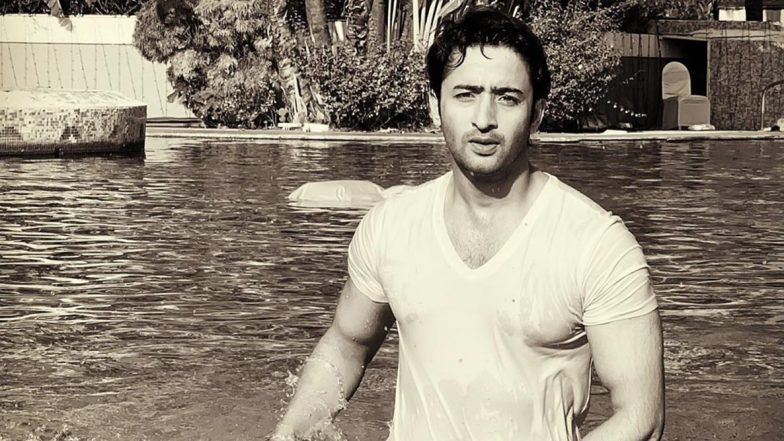 Shaheer Sheikh Opens Up On Shooting For Yeh Rishtey Hain Pyaar Ke Amid COVID-19, Reveals He Was Initially Hesitant 
