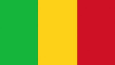 Mali: Four Soldiers Killed in Bomb Blast in Koro Region