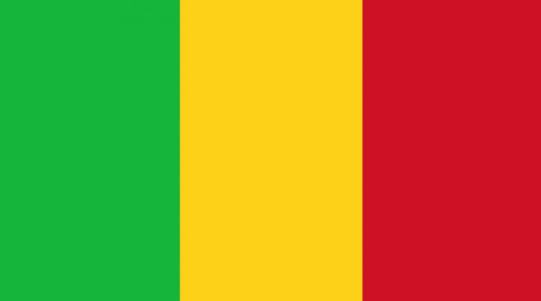 Mali: Four Soldiers Killed in Bomb Blast in Koro Region