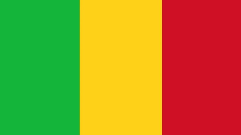 Mali: Four Soldiers Killed in Bomb Blast in Koro Region