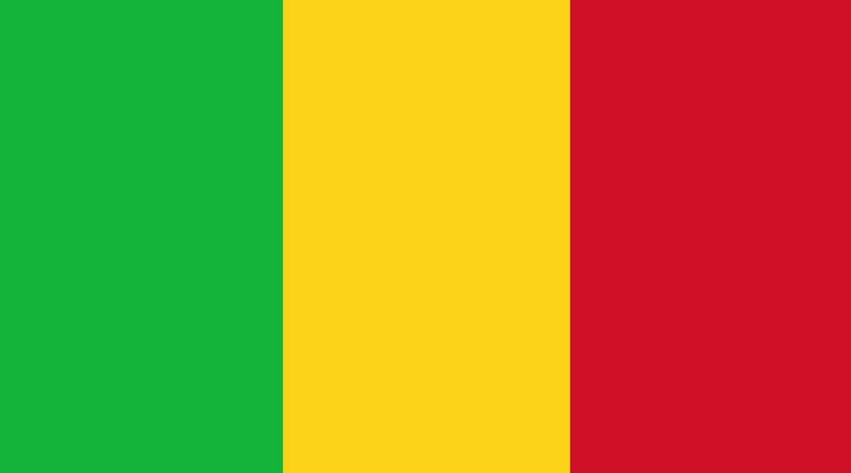 Mali Four Soldiers Killed in Bomb Blast in Koro Region 