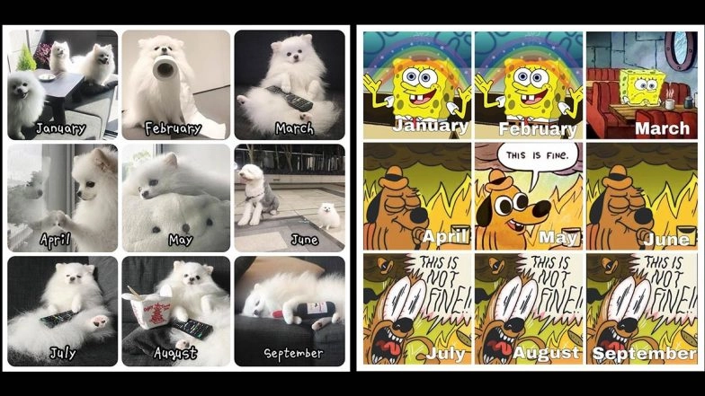 Reese Witherspoon Starts #2020Challenge on Social Media, From Cats, Dogs to Famous Characters, People Share Photo Collage to Describe Their Mood in Months of the Year