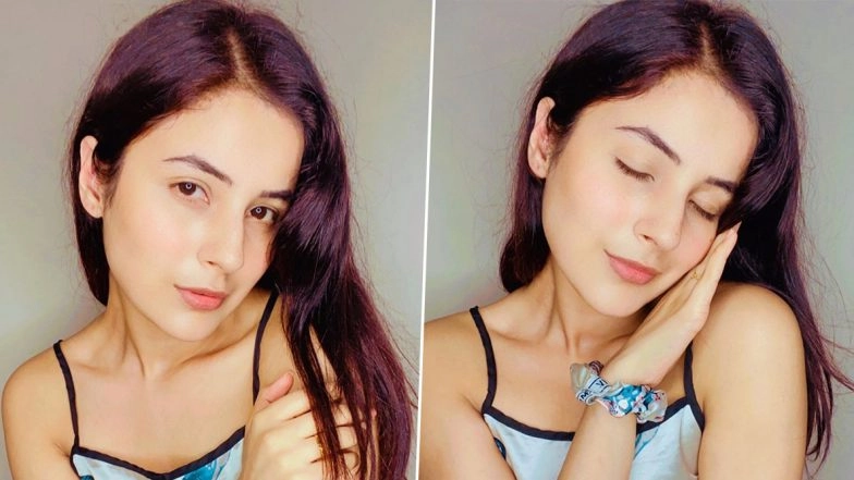 Shehnaaz Gill's Weight Loss And Transformation In Latest Pics Stun Her Fans!