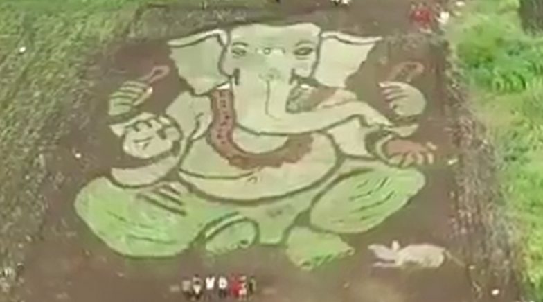 Youth of Bale Village in Solapur Create Image of Lord Ganesha on Half-Acre Farmland (Watch Video) 