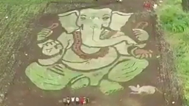 Ganesh Chaturthi 2020: Youth of Bale Village in Maharashtra’s Solapur Creates Beautiful Image of Lord Ganesha on Half-Acre Farmland (Watch Video)