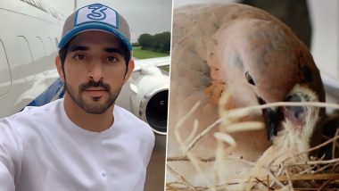 Crown Prince of Dubai, Sheikh Hamdan Bin Mohammed Bin Rashid Al Maktoum To Not Use Mercedes After a Bird Made a Nest on It (Watch Video)
