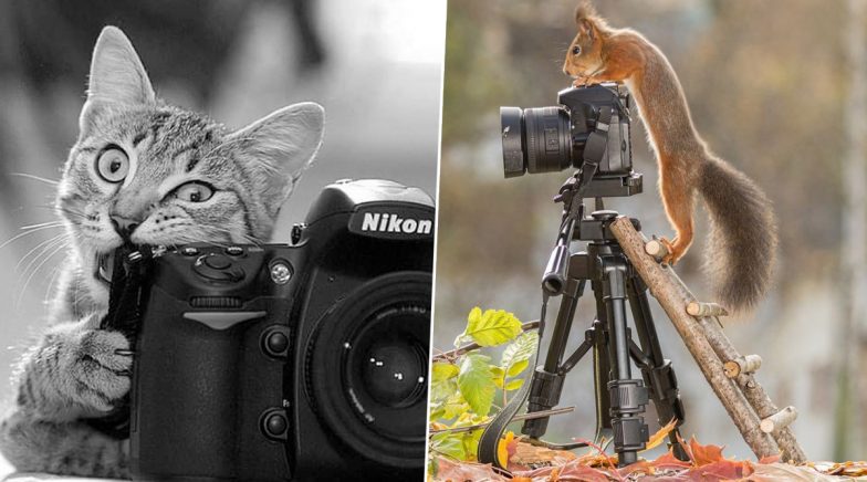 World Photography Day 2020 HD Pictures and Images: Twitter Celebrates the Day