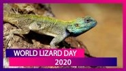 World Lizard Day 2020: Interesting Facts About Squamate Reptiles That Will Surprise You