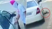 Punjab Man Places Dog In Front of Car, Runs It Over; Maneka Gandhi Shares Disturbing Video
