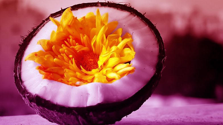 Narali Purnima 2021 Date & Shubh Muhurat: Know Significance of Auspicious Coconut Festival Celebrated on Raksha Bandhan Day in Maharashtra