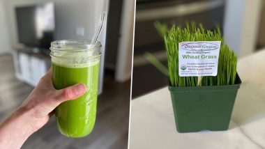 Wheatgrass Health Benefits: From Elimination of Toxins to Strong Immunity, Here Are Five Reasons to Have This Superfood