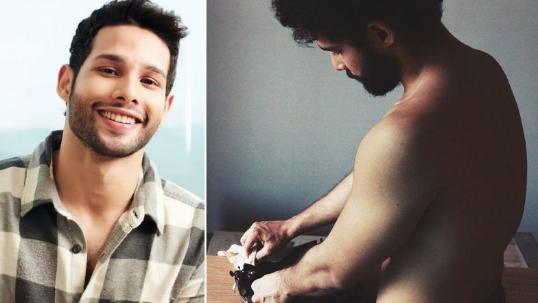 Siddhant Chaturvedi Shares Shirtless Pic Cleaning His Typewriter; Actor’s Impressive Caption Gets Our Attention