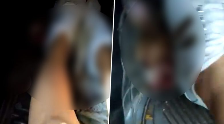 Disturbing Videos of Lucknow Woman Crushing Puppy Under Her Feet Infuriate Netizens