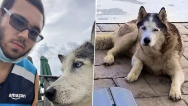 Amazon Delivery Guy Saves Old Husky Dog From Drowning in Pool, Owner Writes a Thankful Note to CEO Jeff Bezos!