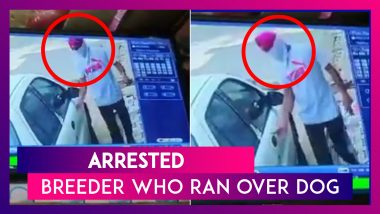 Kapurthala Breeder Who Ran Car Over Dog In Video Arrested, 12 Canines Recovered