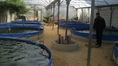 Odisha Introduces Scheme to Promote Bio-Floc Fish Farming Technology