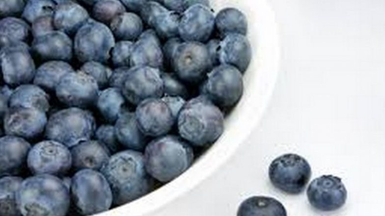 Vaccinium Piliferum Discovery: Endangered Wild Blueberry Relative Rediscovered in Arunachal Pradesh Forest After 188 Years