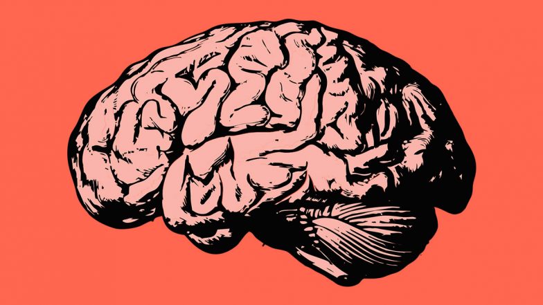 Brain Helps Humans Navigate Social Differences; Here's How