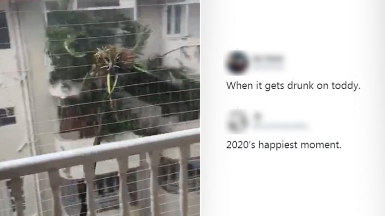 Viral Video of Coconut Tree Dangerously Swaying Due to Strong Winds and Rains in Mumbai Has Netizens Coming Up With Some Funniest Reactions!