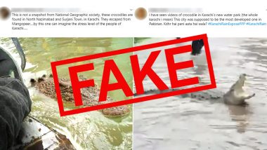 Crocodiles in Karachi Streets Escaped From Manghopir Shrine? Pics and Video of Reptile on Flooded Streets Shared With Fake Claims! Know The Truth