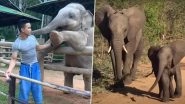 World Elephant Day 2020: From Throwing Tantrums to Playing With Birds, Cute And Funny Videos of Baby Elephants Will Make You Love These Tuskers Even More!