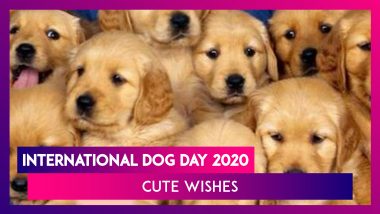 International Dog Day 2020: Cute Quotes And HD Images To Greet Canine Lovers