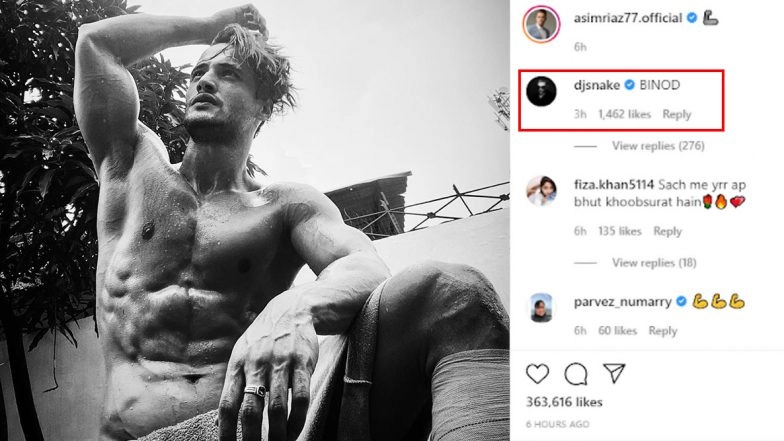 Binod Goes International! DJ Snake Comments 'Binod' on Asim Riaz's Latest Instagram Picture and Fans Are Losing It